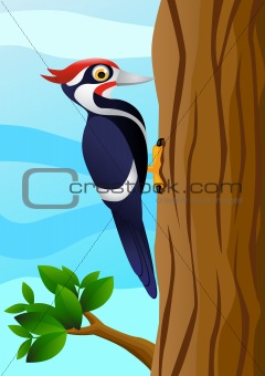 Woodpecker cartoon