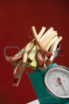 bunch of rhubarb on the scales