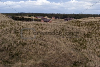 Grass dune and sommerhouses