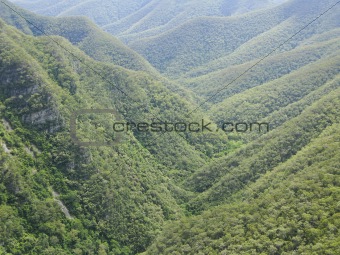 forest and hills in australia