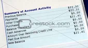 Summary of account activity of a credit card bill