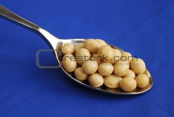 Close up view of a spoonful of soy beans isolated on blue
