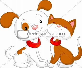Cute Cat and dog