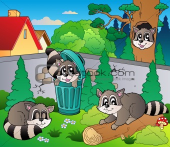 Backyard with cute racoons