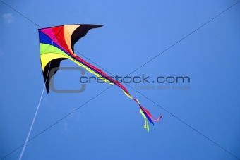 Kite in flight