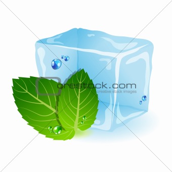 Mint with ice