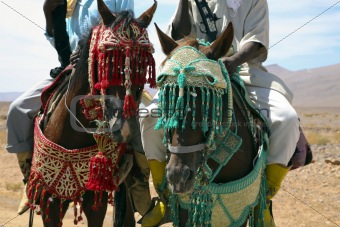 Moroccan riders