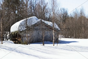 Winter Forest Cabin