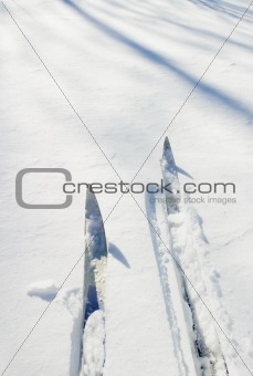 Ski Detail