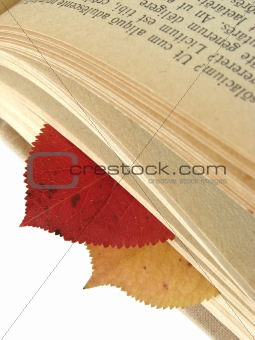 autumnal bookmarks