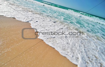 Tropical Beach 