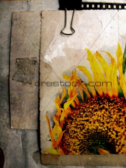 Grunge sunflower postcard