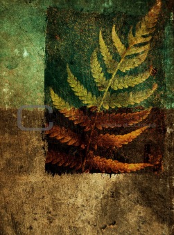 Grunge abstract background with leaf