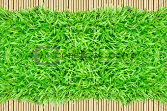 grass frame on bamboo background