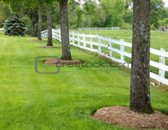 line of trees  and fence