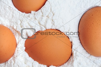 fresh organic brown eggs on white flour powder