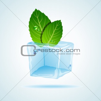 Mint in ice