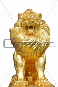 Isolated lion statue