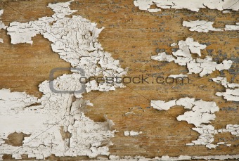 Wooden background