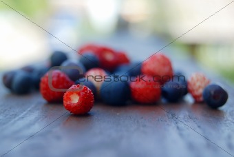 Scattering of forest berries