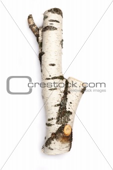 Birch log