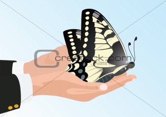 Butterfly in his hands