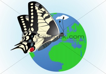 Butterfly on a globe