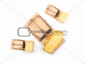 Three mouse traps with cheese