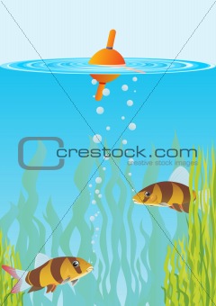 Fish and float