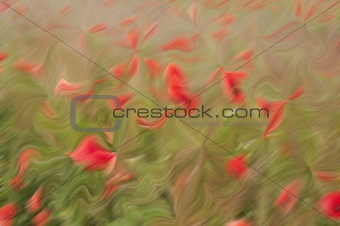 nature red flower and green field background
