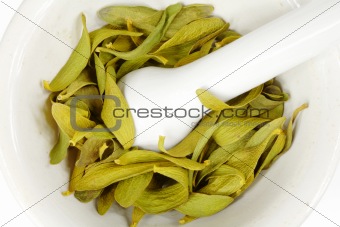 mistletoe herbs