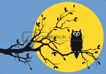 owl with moon, vector