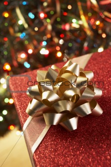 Christmas Present Under Tree