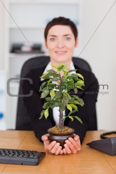 Portrait of a secretary looking at a plant