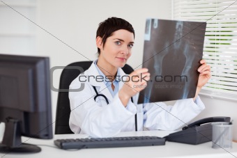 Professional female doctor holding a set of X-ray