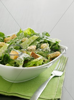 Caesar salad with coypspace