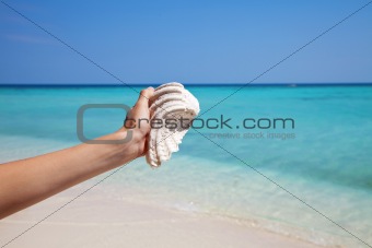 Holding a mussel on an exotic beach
