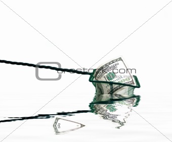 fishing net with money and water