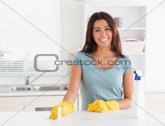 Charming woman doing the housework