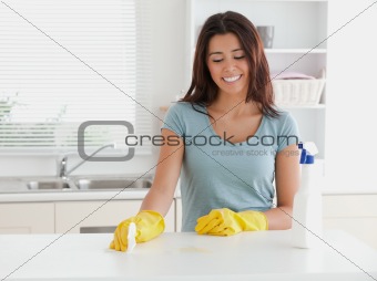 Beautiful woman doing the housework