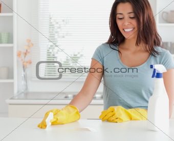 Attractive woman doing the housework