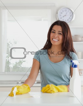 Pretty woman doing the housework