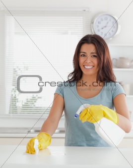 Charming female doing the housework while using a spray