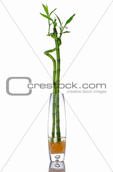 Glass jar with bamboo 