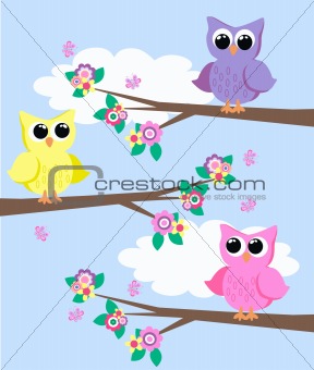 three cute owls