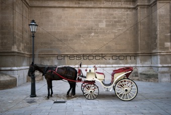 Cathedral and carriage