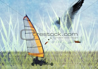 Land sailing seagull