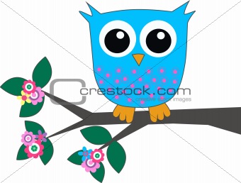 a cute little blue owl