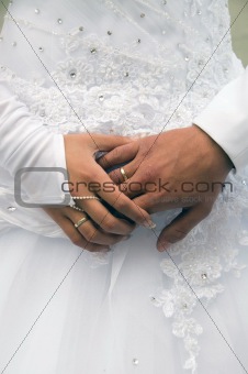 Hands of newlyweds.