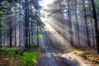 gift of light - God beams